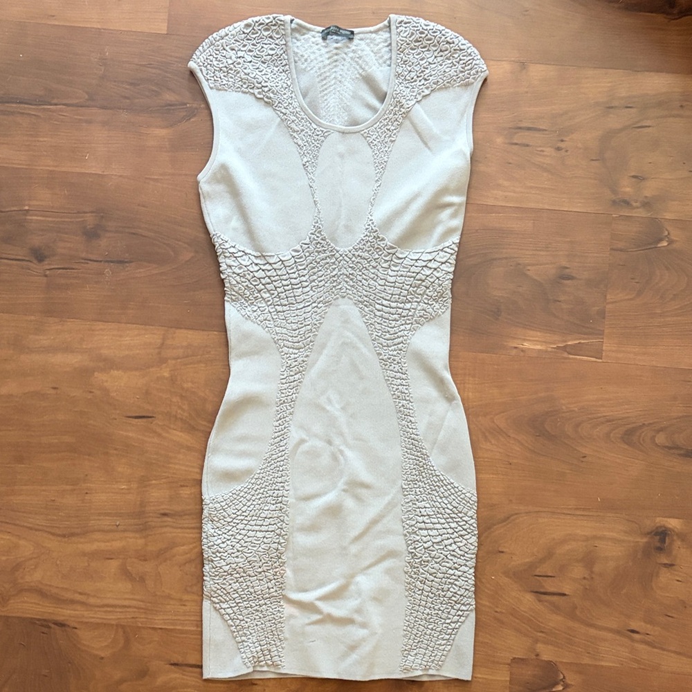 RARE Alexander McQueen Plato’s Atlantis 2010  Bodycon Dress Small